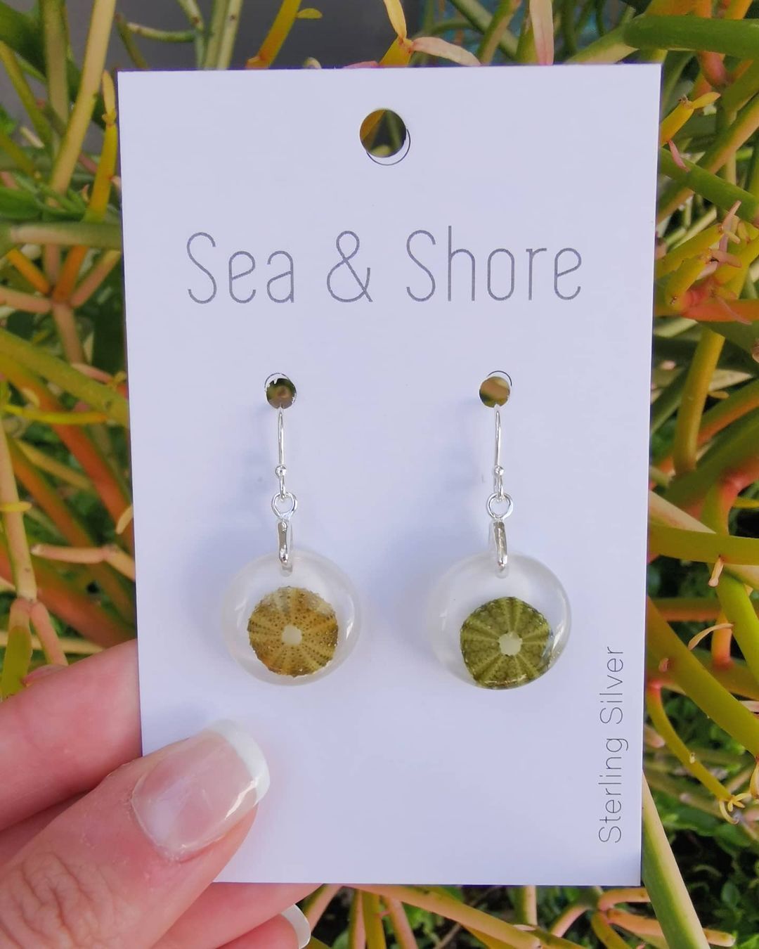 Miniature Sea Urchin Earrings - Image 2