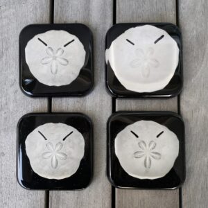 Pansy Shell / Sand Dollar Coasters