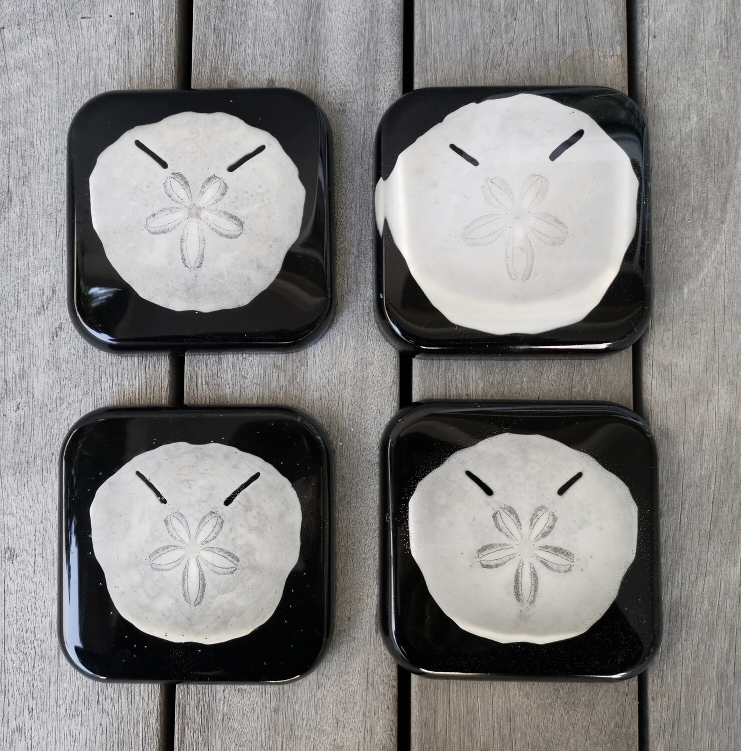 Pansy Shell / Sand Dollar Coasters
