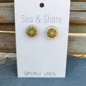 Miniature Sea Urchin Studs