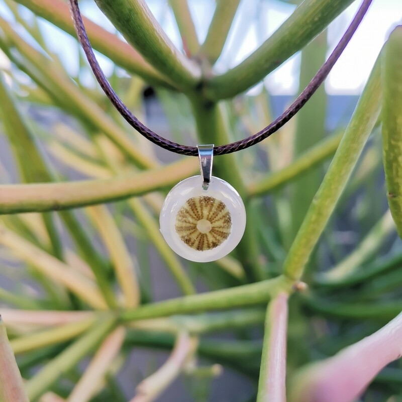 Sea Urchin Shell Necklace